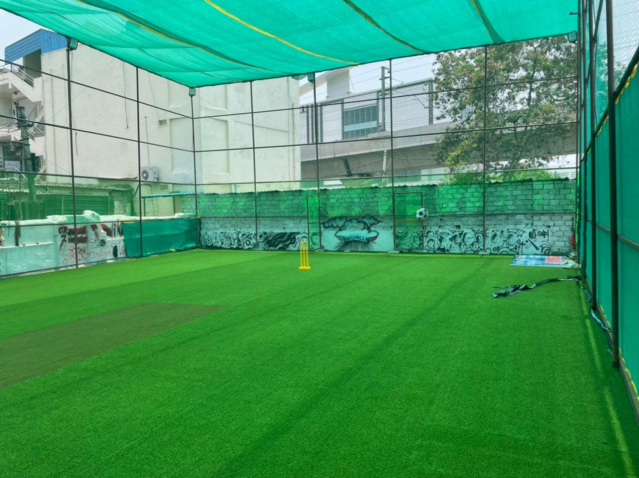 Turf photo 6