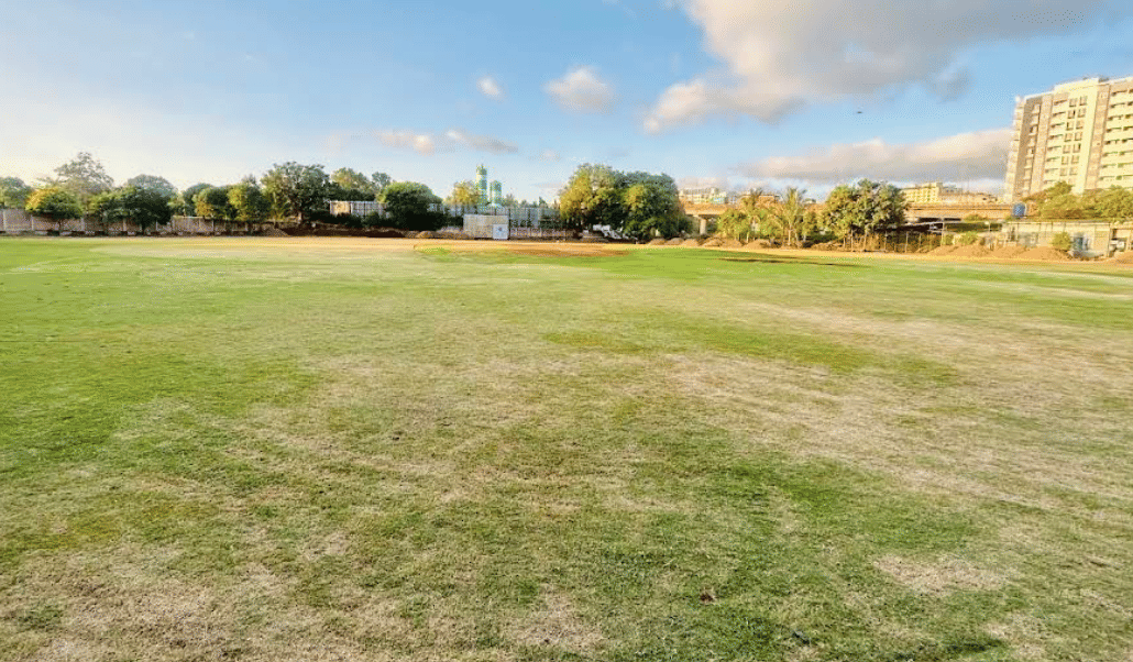 Vision Cricket Academy