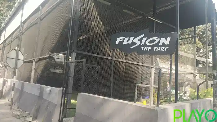 Fusion - The Turf image