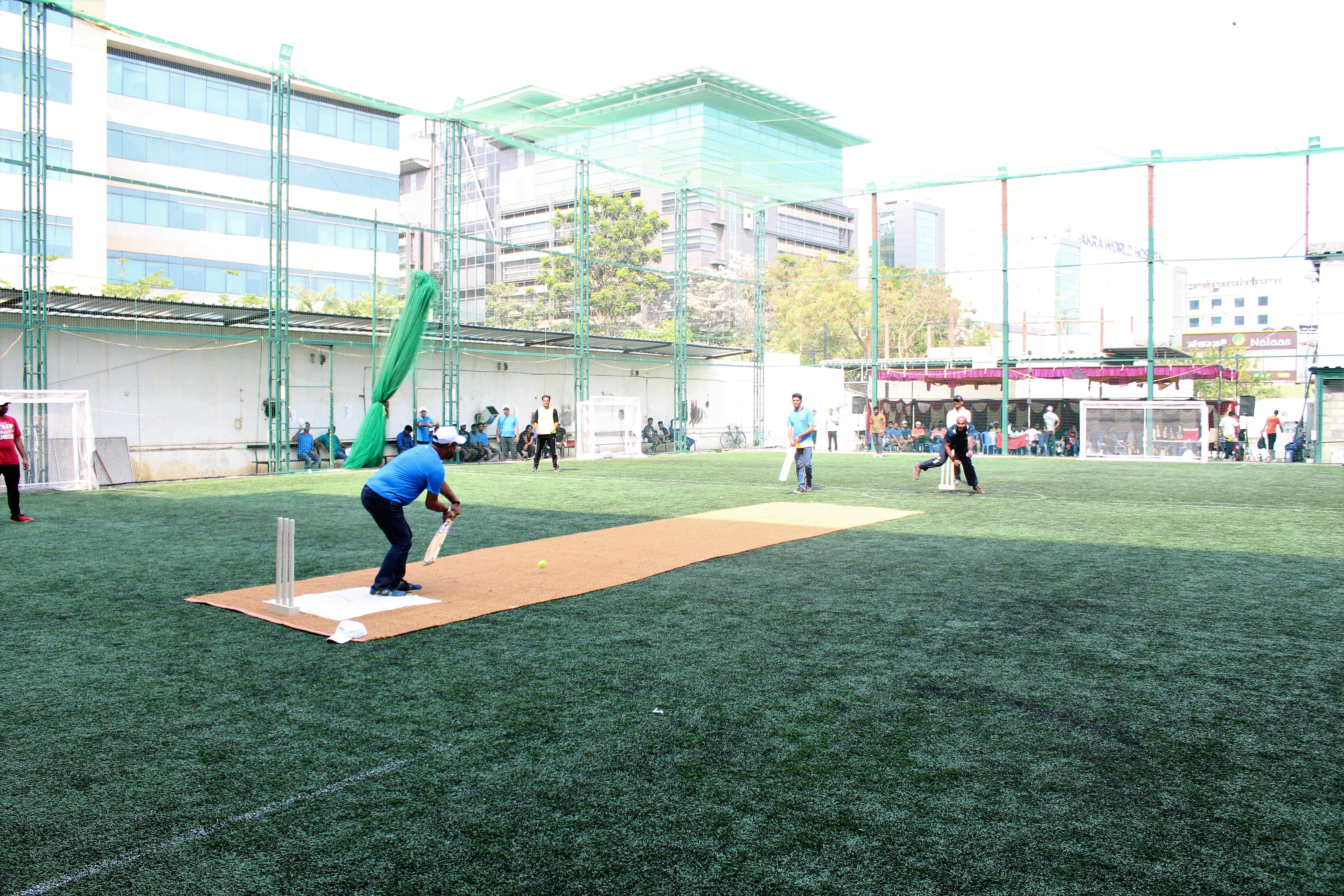 Turf photo 5