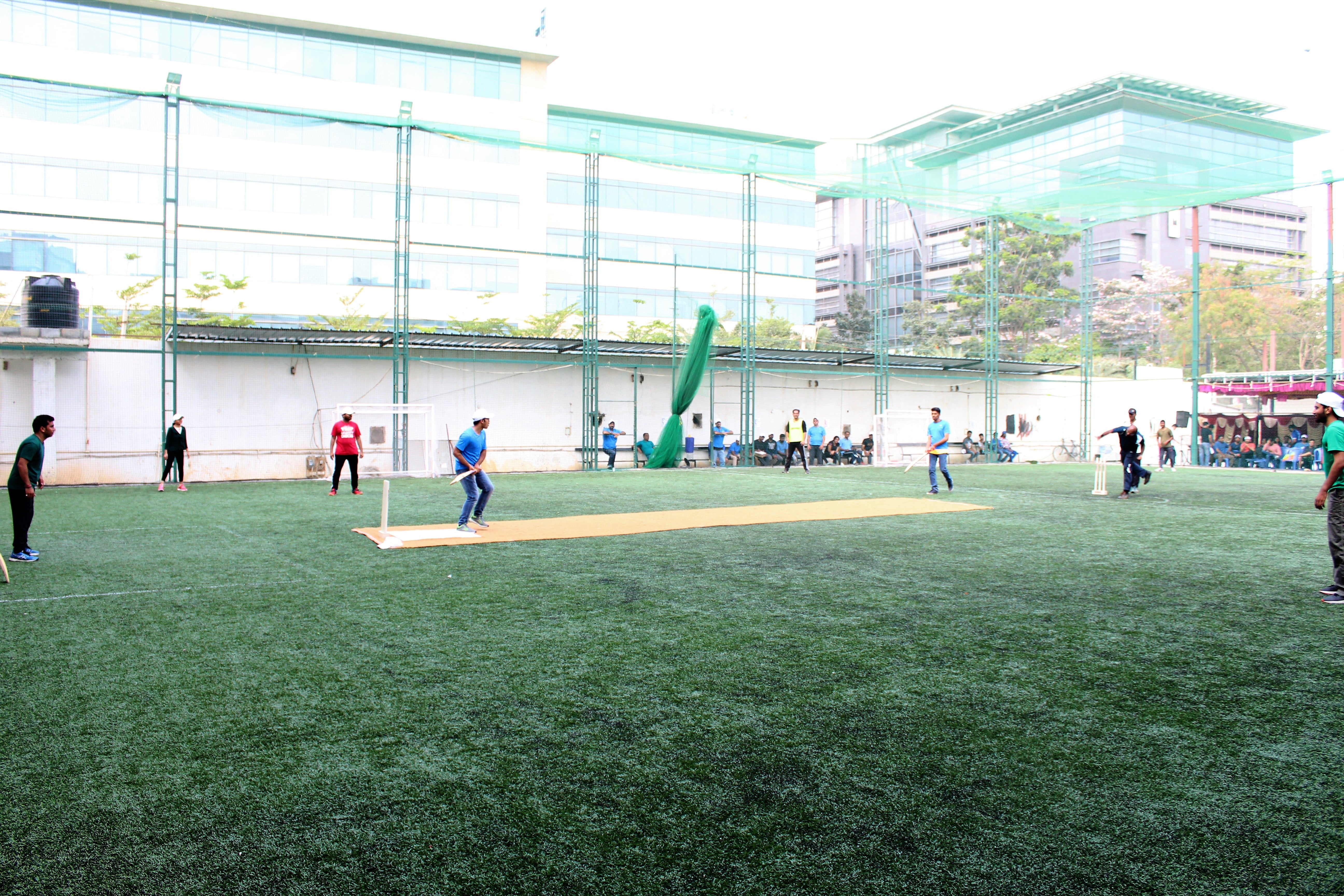 Turf photo 6