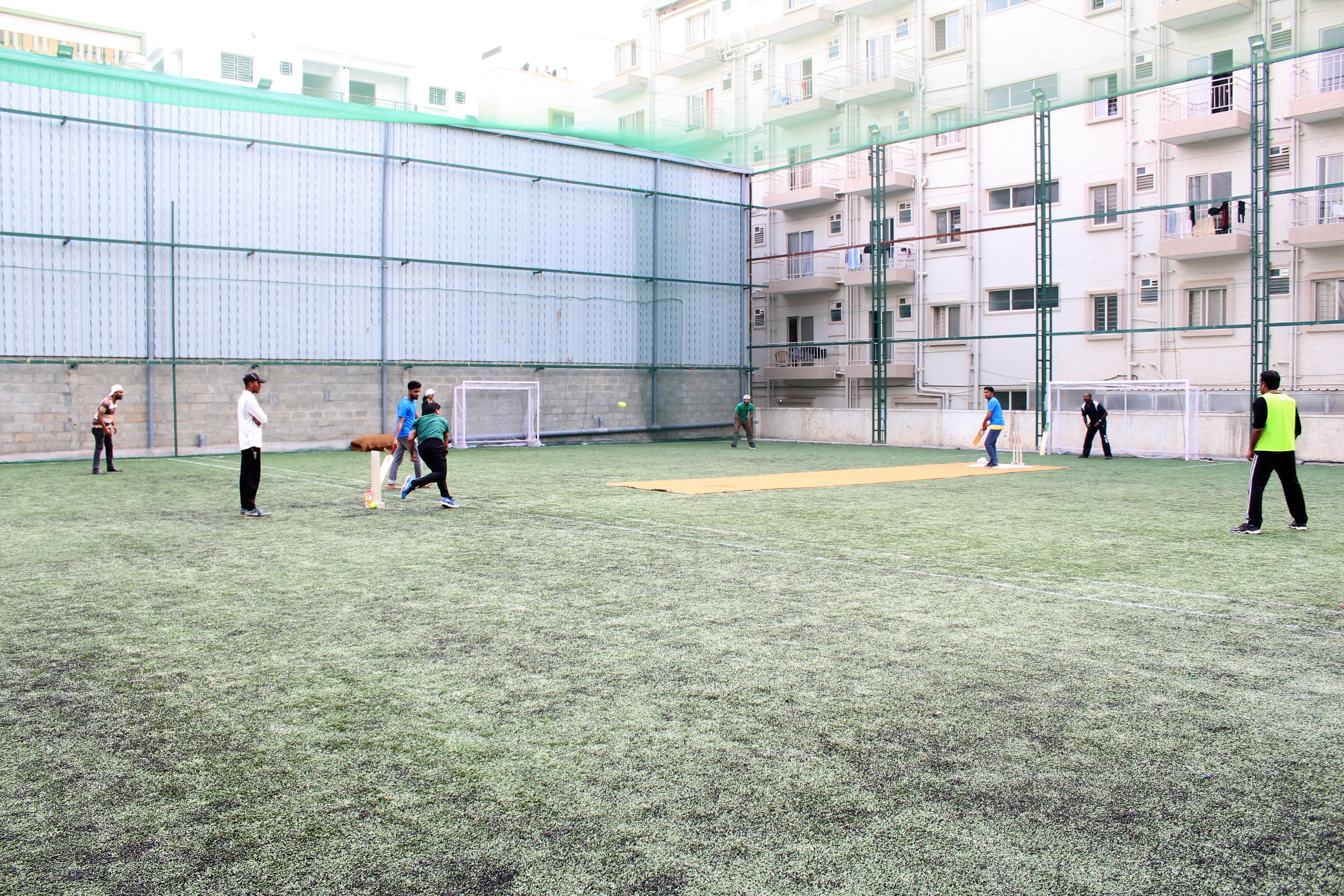Turf photo 7
