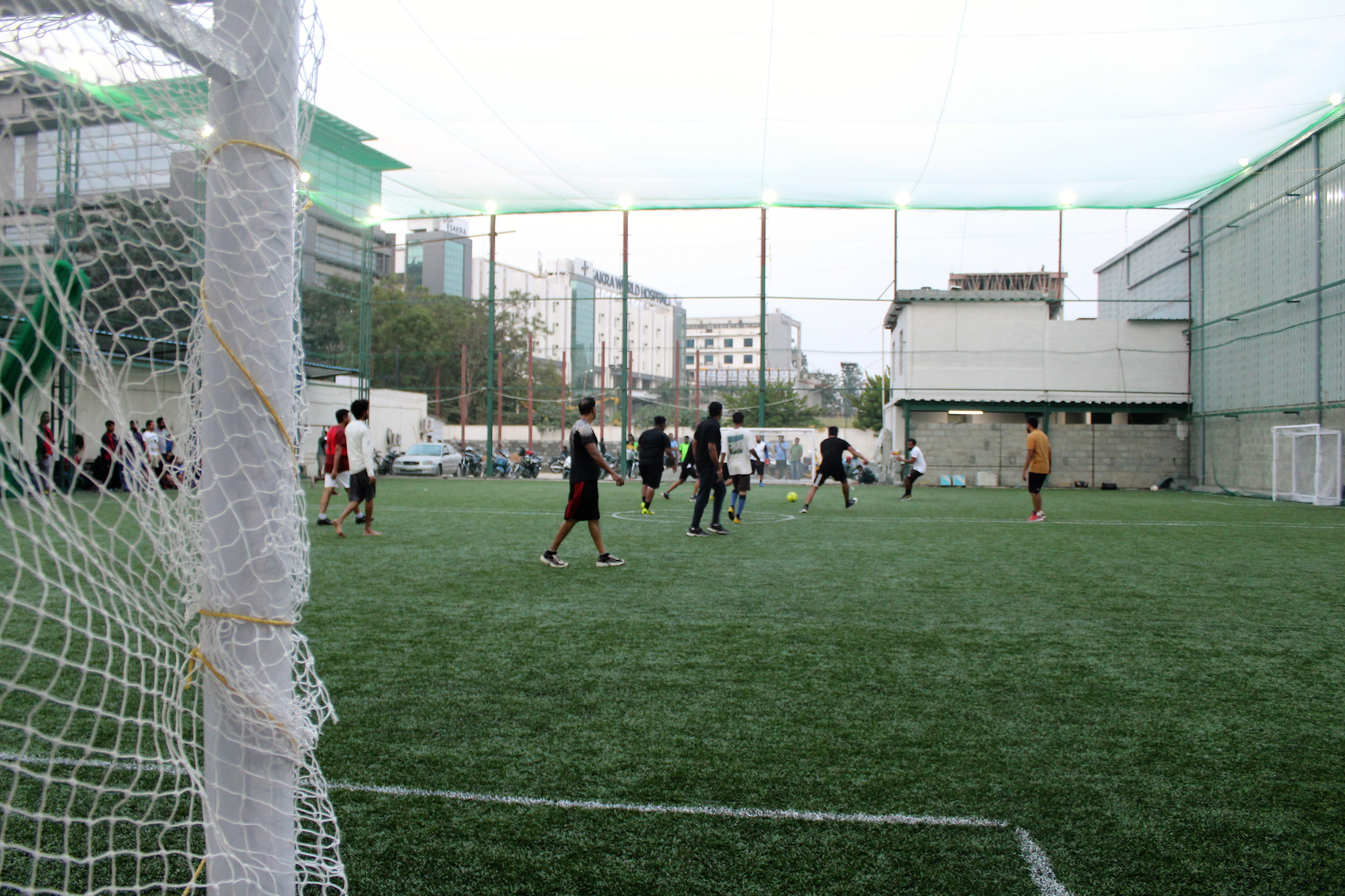 Turf photo 8