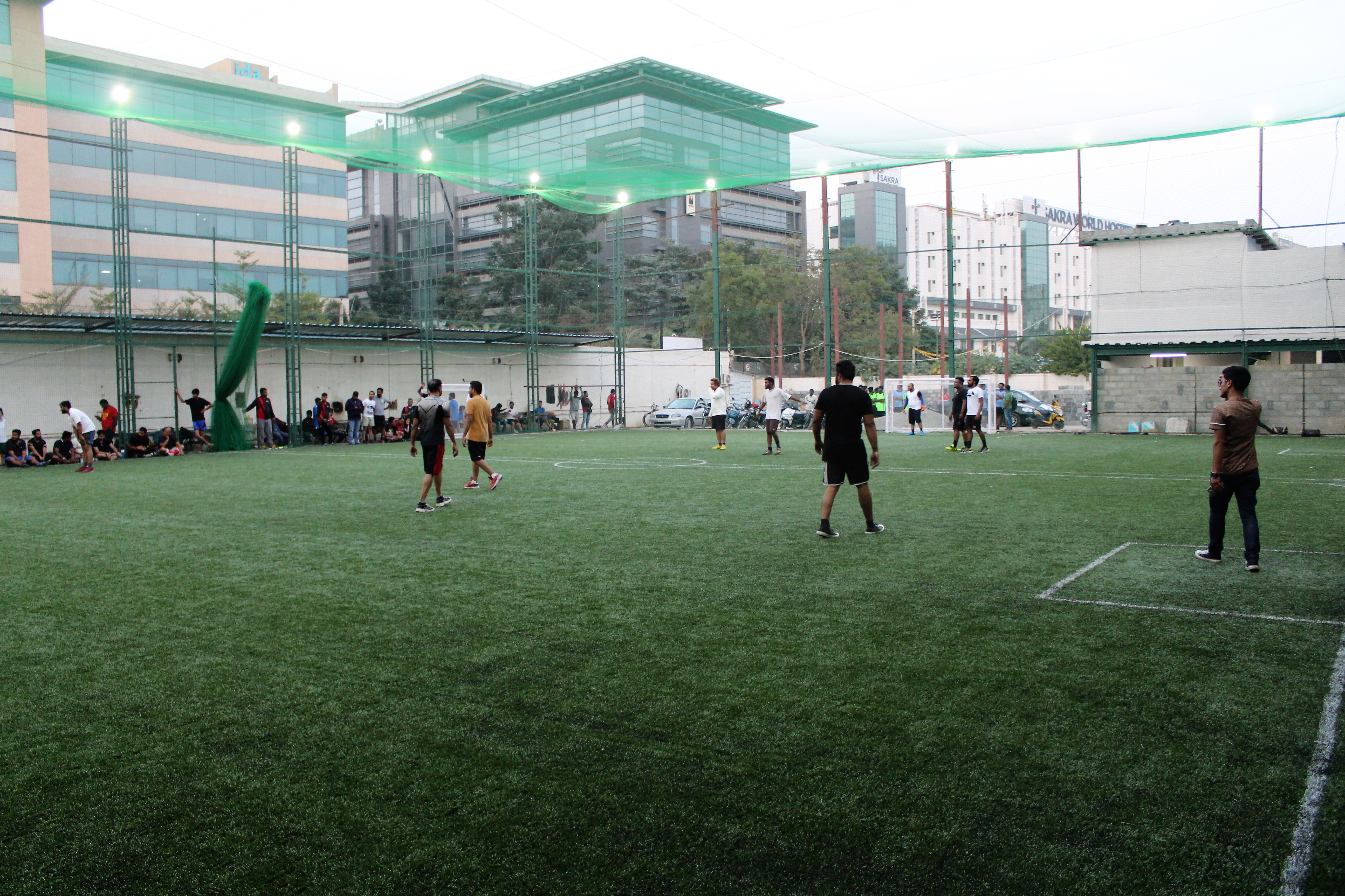 Turf photo 9