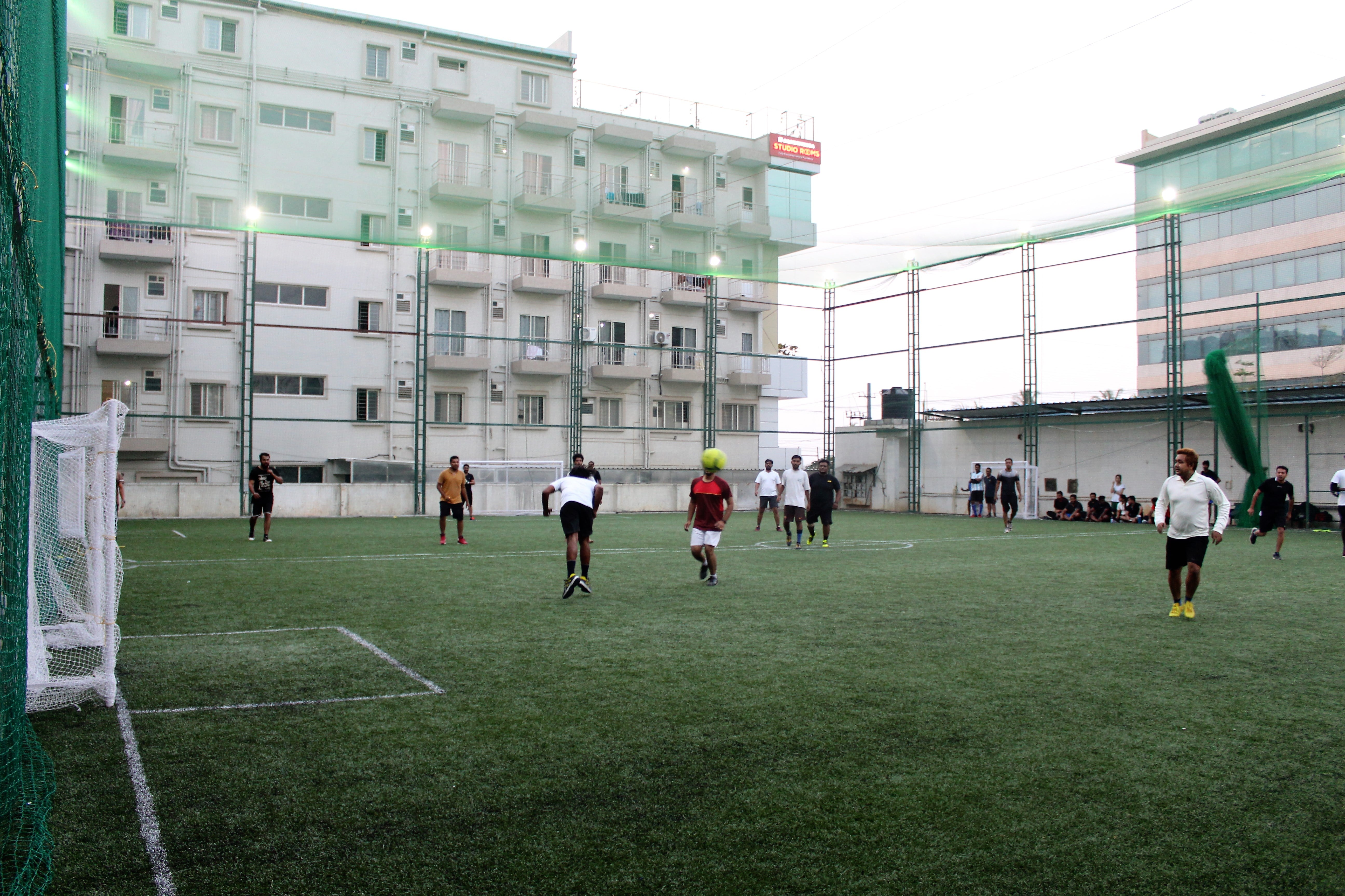Turf photo 10