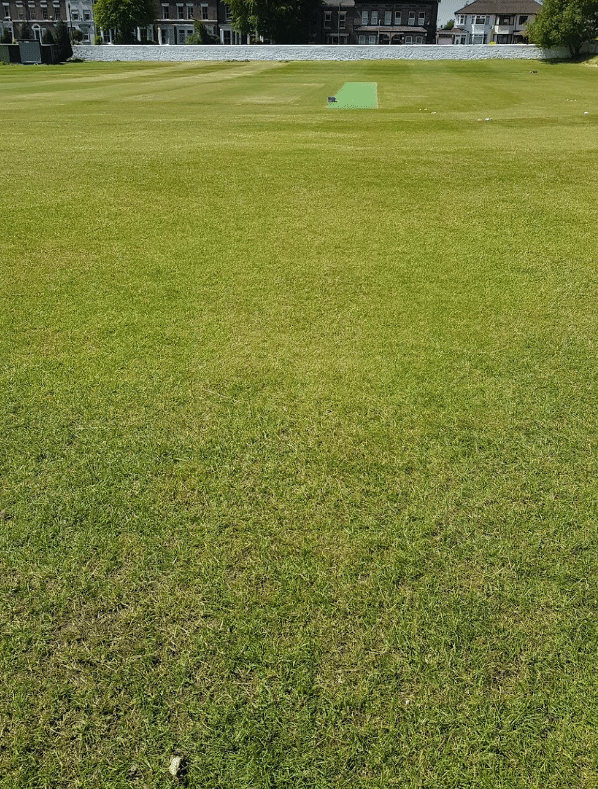 Wavertree Cricket Club