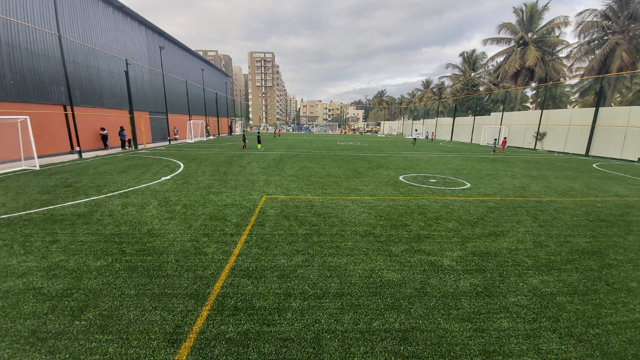 Turf photo 6