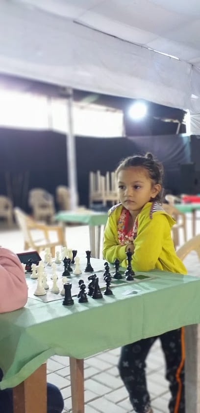 White Knight Chess Academy and Club