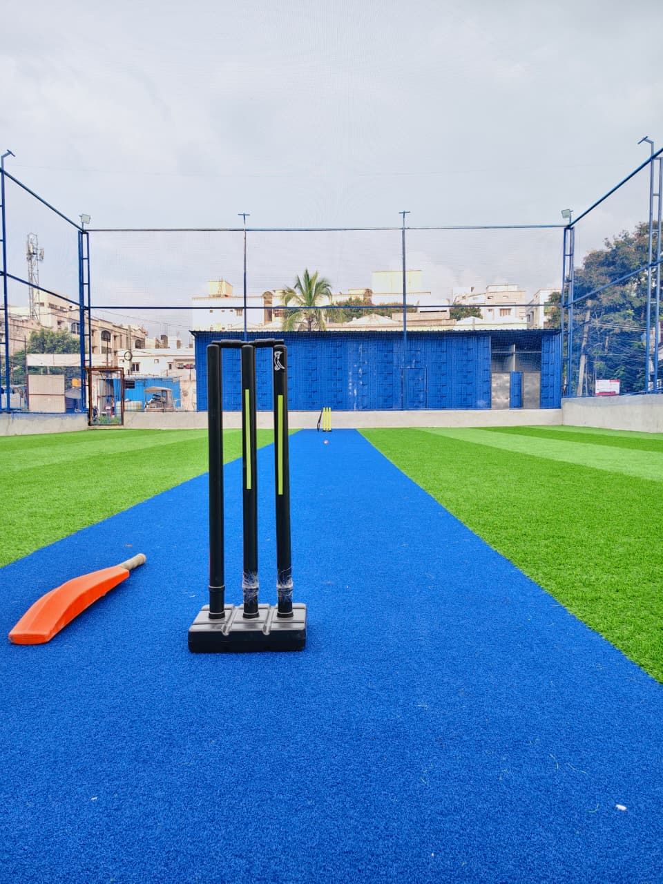 Wild Crow Box Cricket