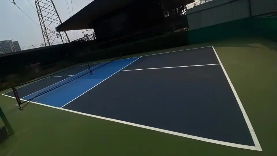 Wildly Pickleball Club