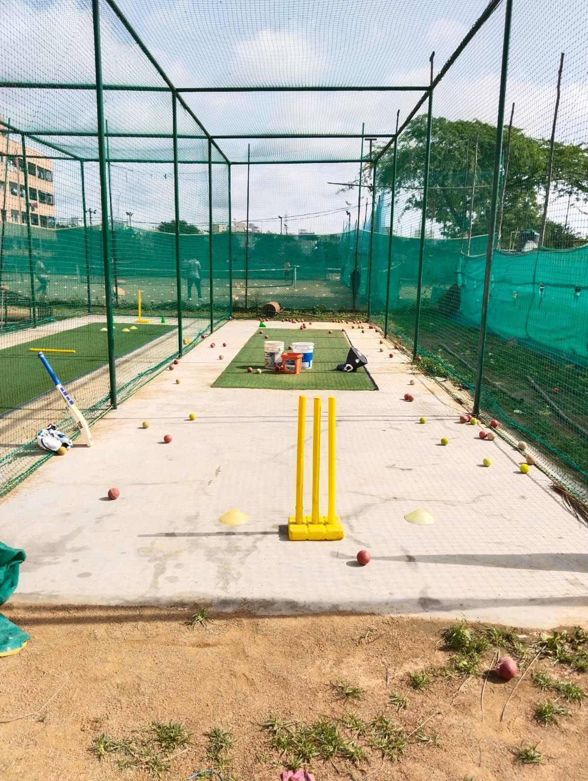 Wilson cricket academy