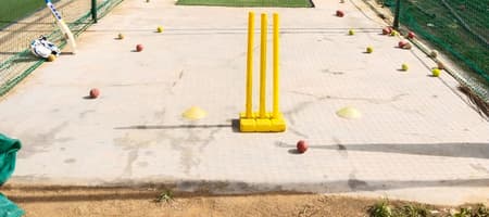 Wilson cricket academy