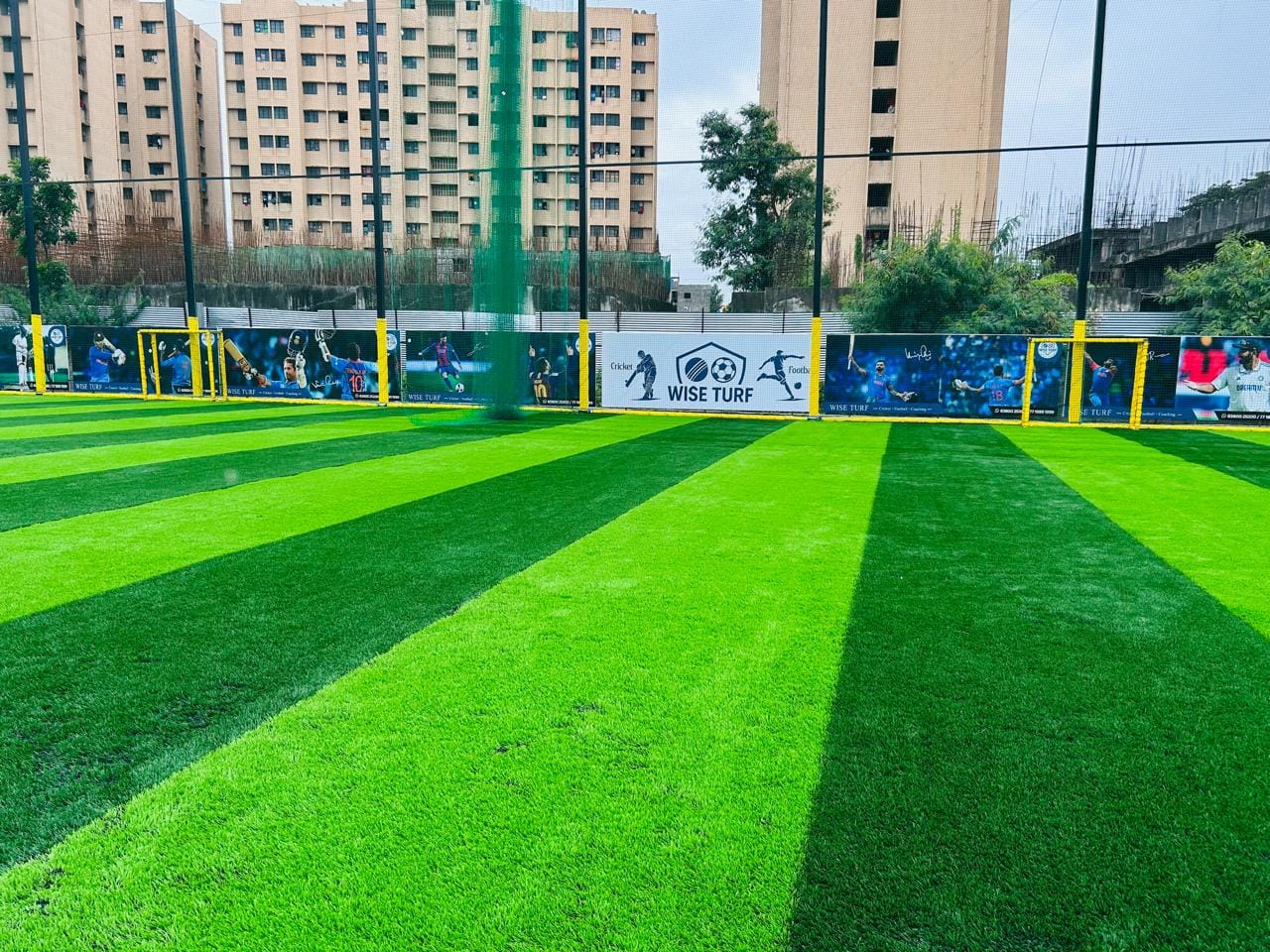 Turf photo 7
