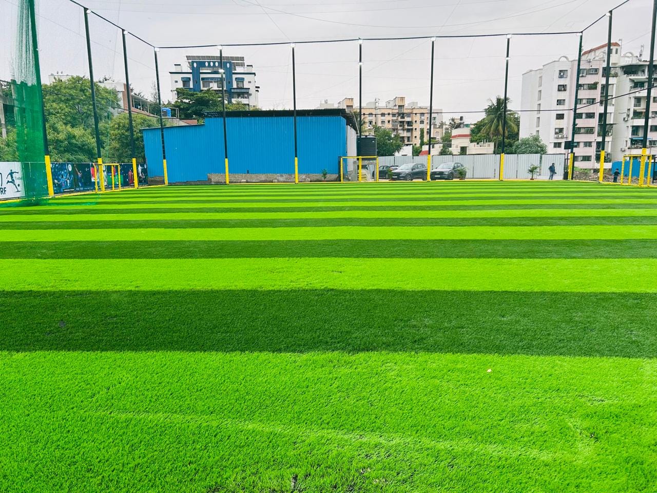 Turf photo 9