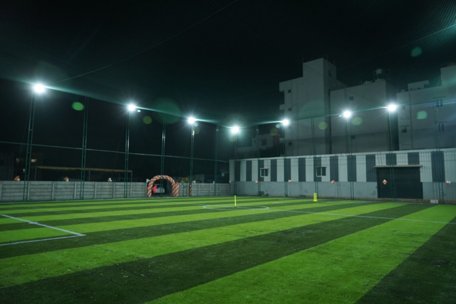 Turf photo 10