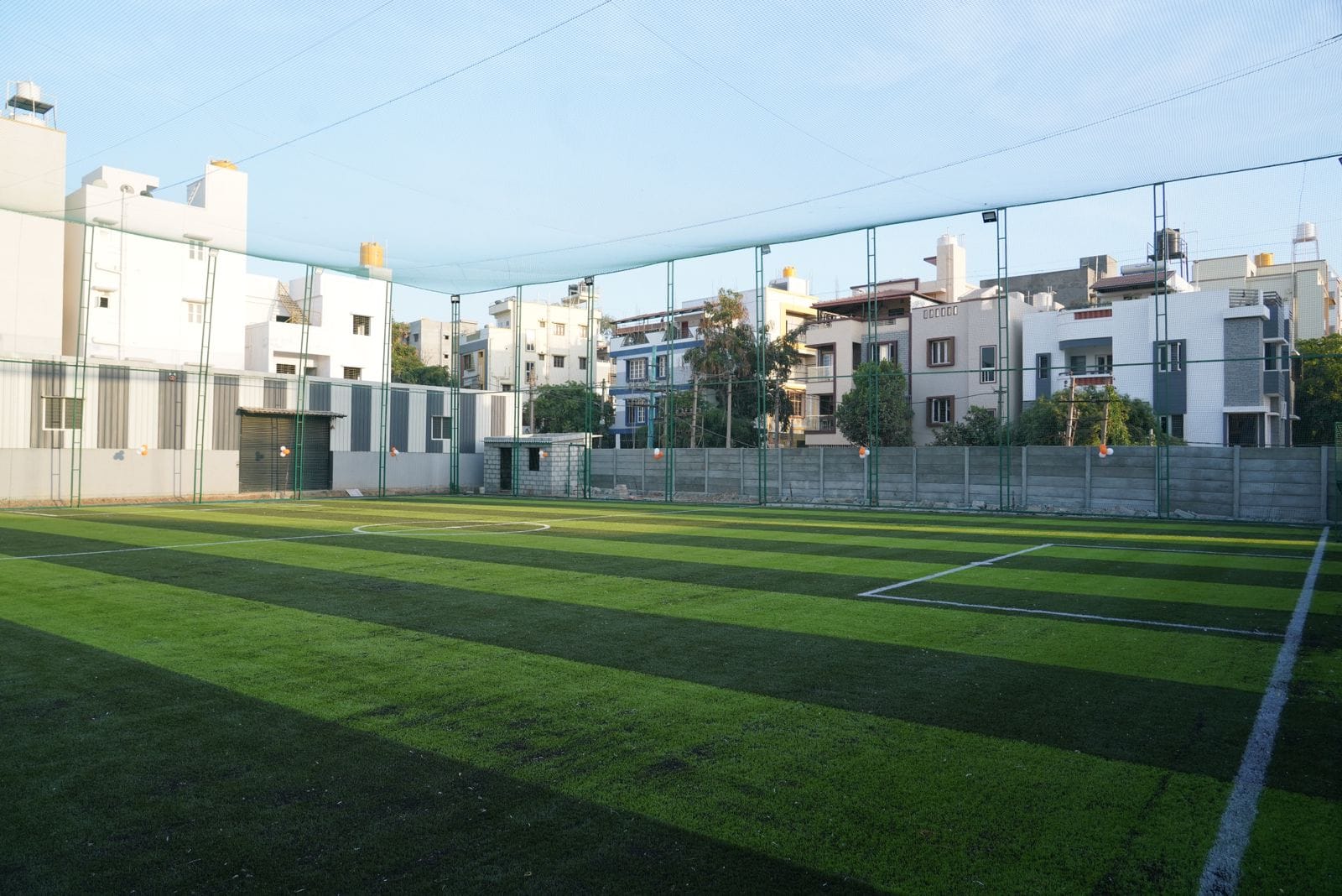 Turf photo 5