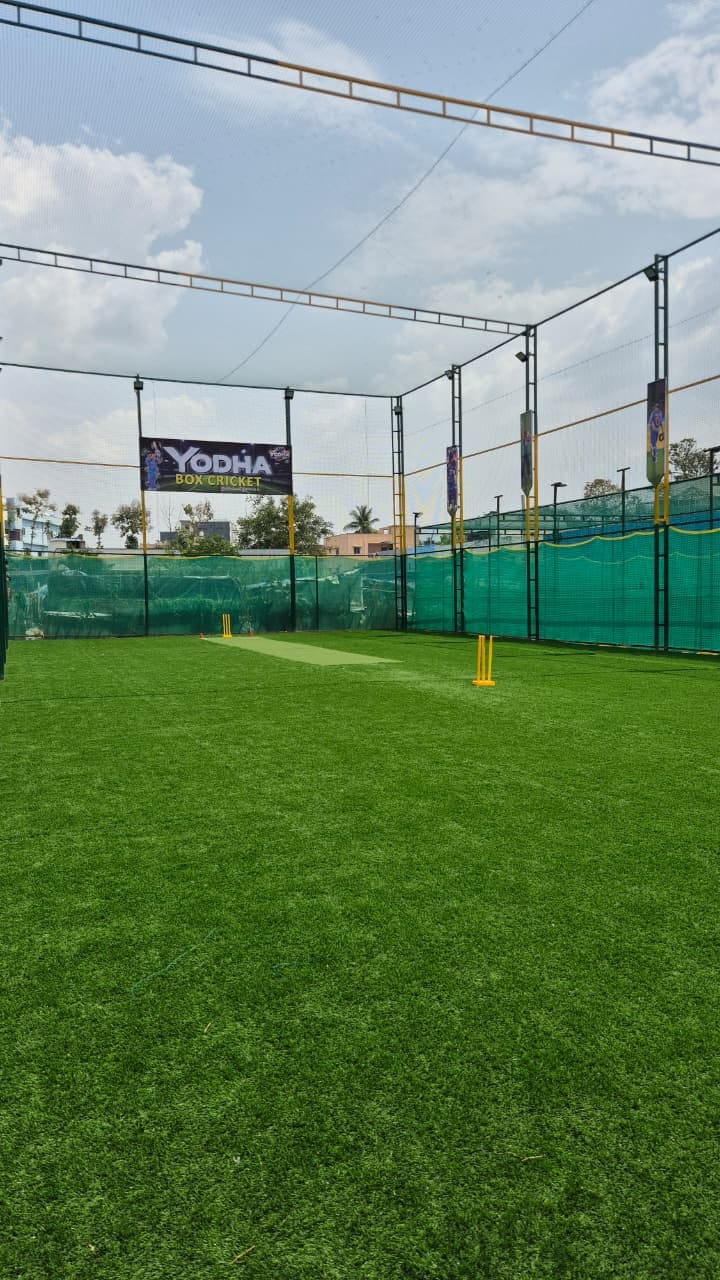 Turf photo 6