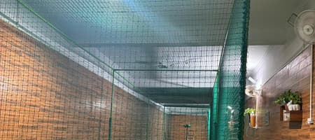 Yorker Yard Indoor