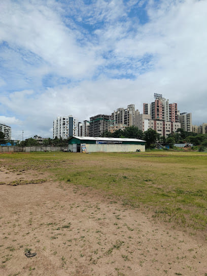 Youngsters Cricket Academy