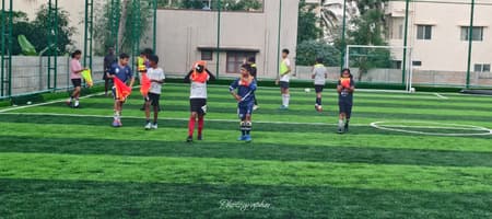 Young Wolves Sports Arena