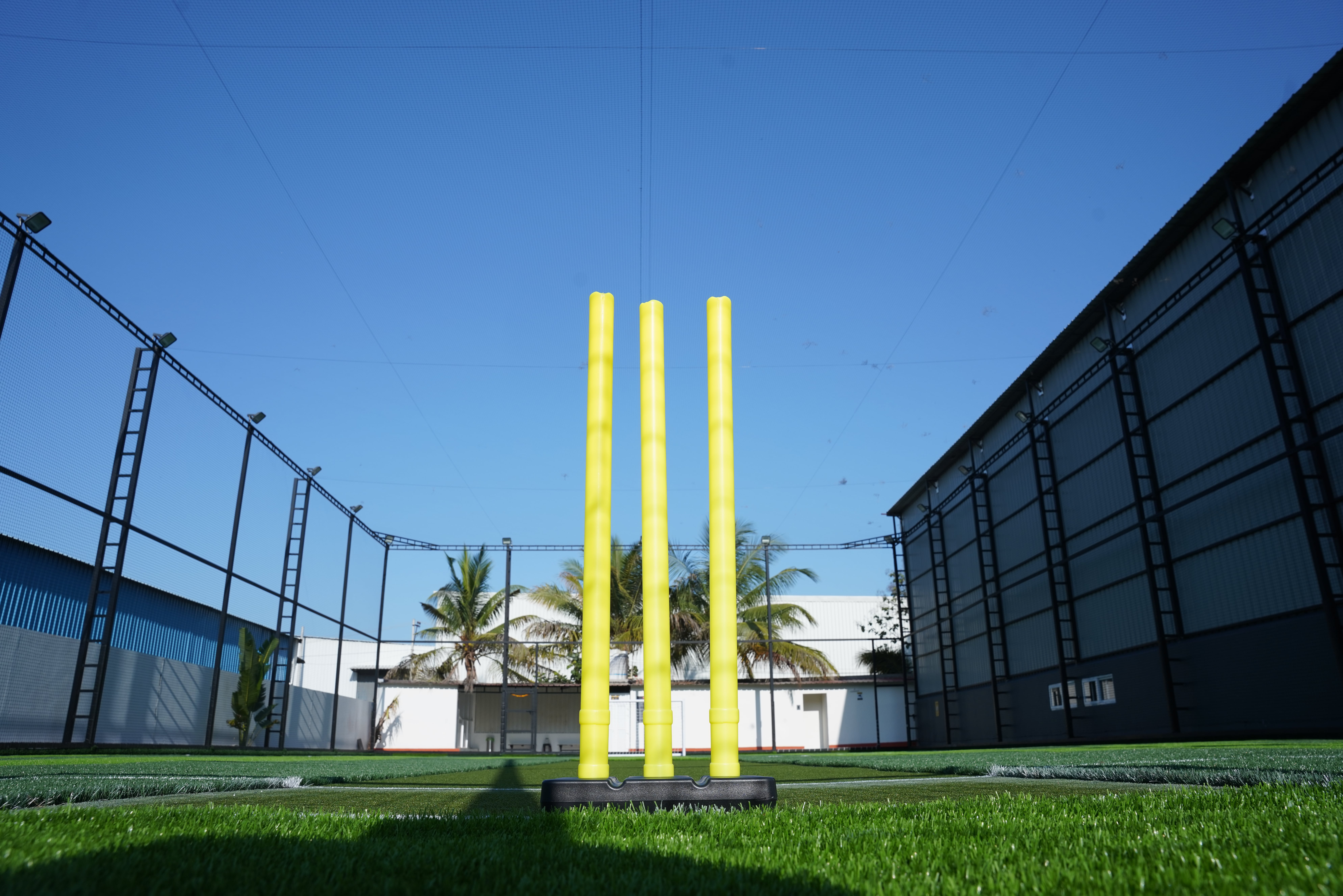 Turf photo 8