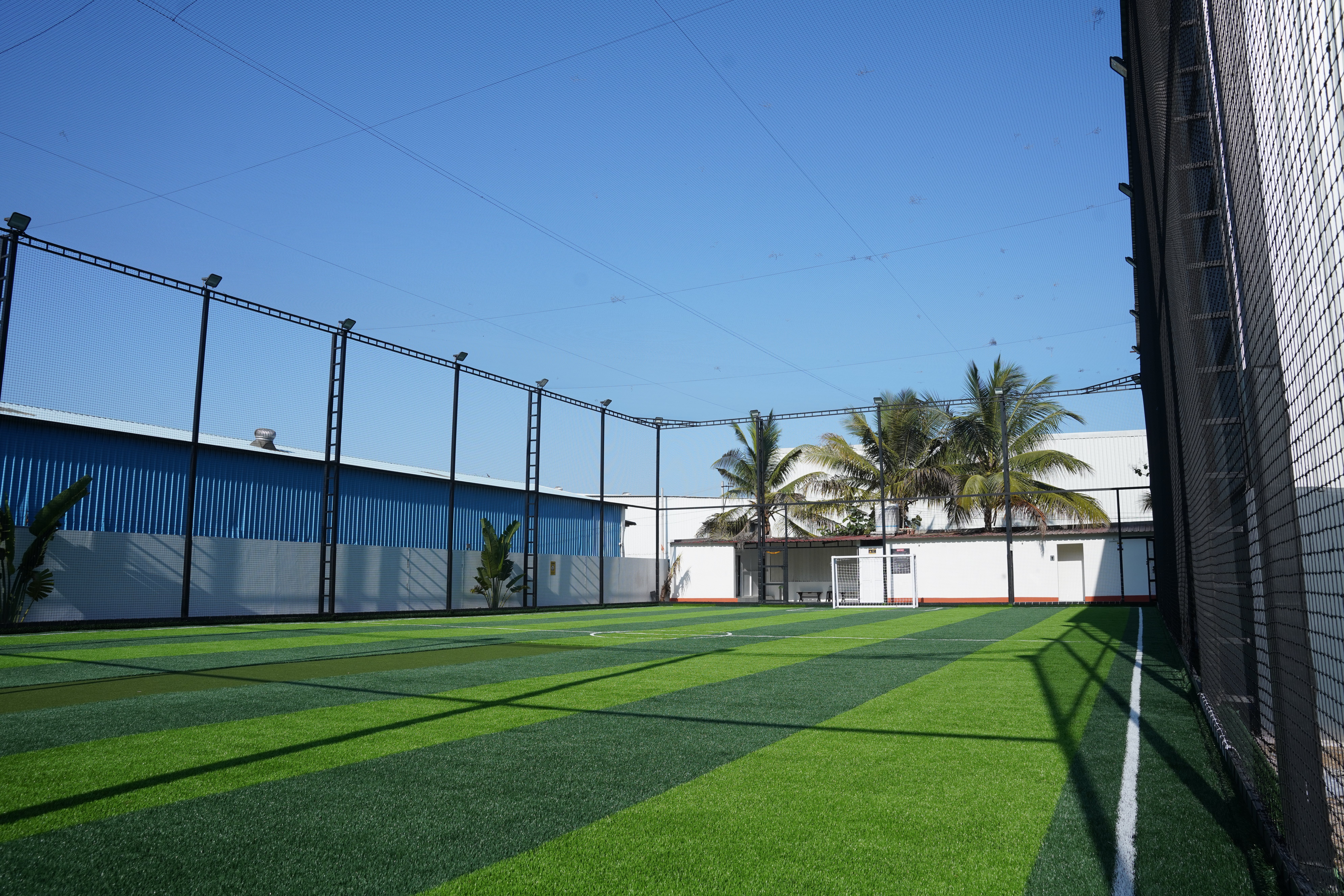 Turf photo 10