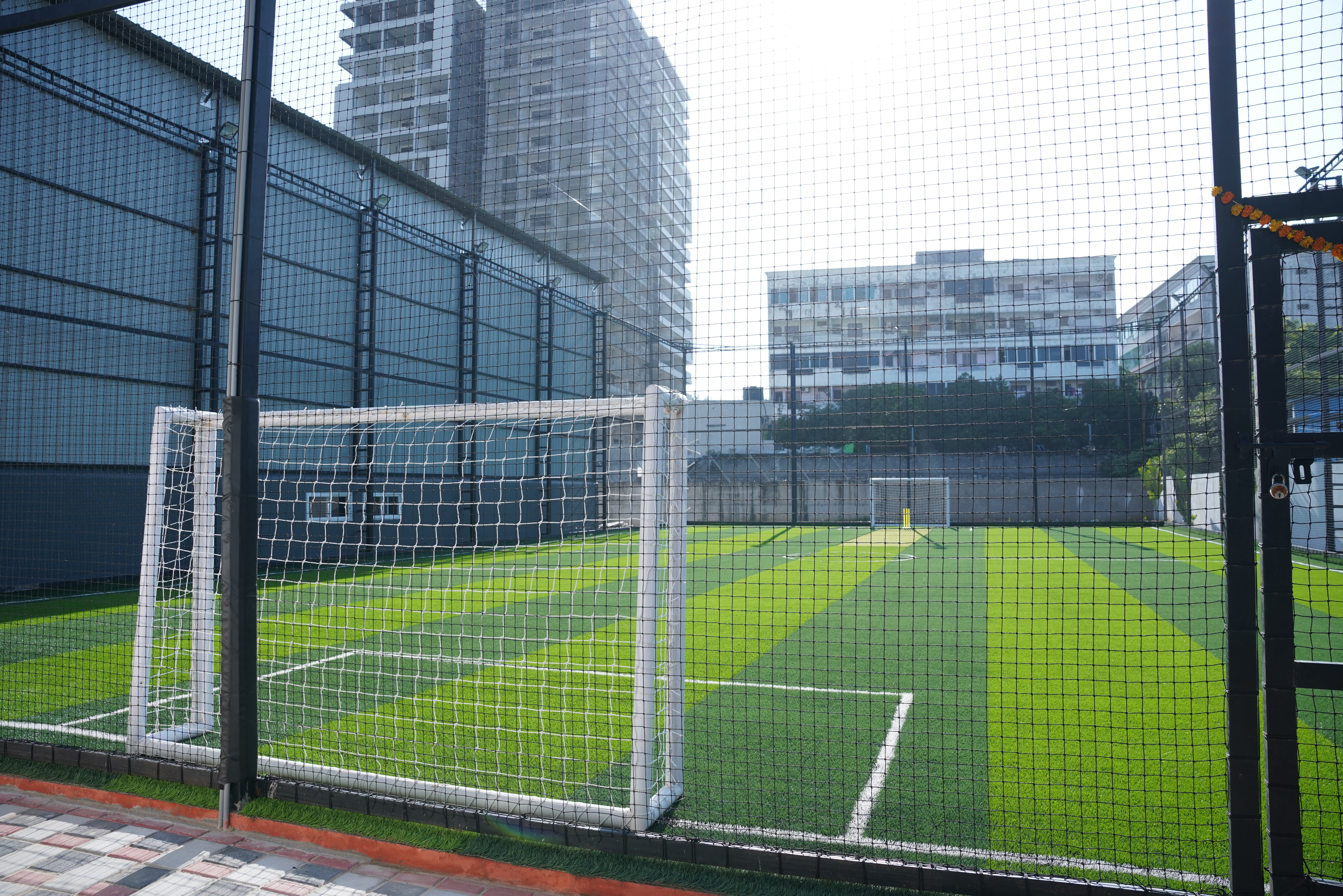 Turf photo 11